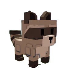 Raccoon