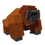 Orangutan