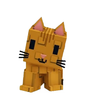 Orange Tabby