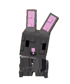 Black Bunny